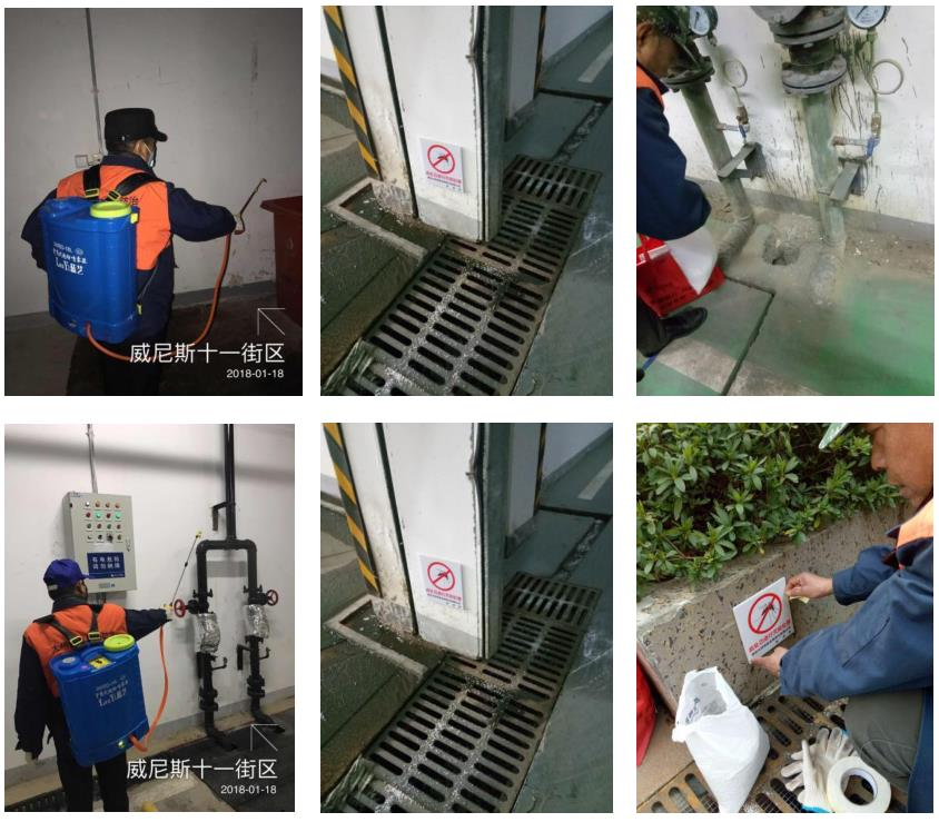 隨著冬季氣溫轉冷蚊子進入了靜止或滯育狀態(tài)